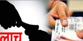 सौर पंपासाठी लाच घेताना कंत्राटी लाईनमन यास रंगेहात पकडले  जामखेड तालुक्यातील प्रकाराने एकच खळबळ