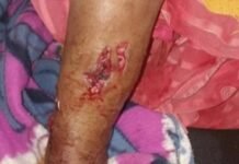 जामखेड परिसरात बिबट्याची दहशत बावी, फक्राबाद व सावरगाव परिसरात भीतीचे वातावरण