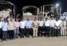 जामखेडमध्ये कत्तलीसाठी उपासपोटी बांधून ठेवलेल्या वीस जनावरांची जामखेड पोलीस व स्थानिक गुन्हे शाखेकडून सुटका