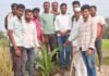 रक्षा विसर्जन पाण्यात न करता वृक्षारोपण करून कोल्हे परिवाराने निर्माण केला आदर्श
