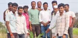 रक्षा विसर्जन पाण्यात न करता वृक्षारोपण करून कोल्हे परिवाराने निर्माण केला आदर्श