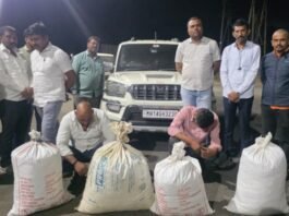 १३२ किलो गांजा पकडत स्थानिक गुन्हे शाखेची धडाकेबाज कामगिरी, पंचवीस लाखाच्या मुद्देमालासह दोन आरोपी जेरबंद मिरजगाव परिसरात एकच खळबळ