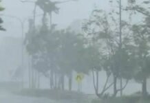 १७ ते २० मार्च दरम्यान राज्यात मेघगर्जनेसह वादळी पावसाची शक्यता शेतकऱ्यांनी काढणी केलेल्या पिकांना वादळी पाऊस आणि वाऱ्यापासून सुरक्षित ठेवावे