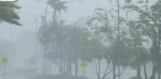 १७ ते २० मार्च दरम्यान राज्यात मेघगर्जनेसह वादळी पावसाची शक्यता शेतकऱ्यांनी काढणी केलेल्या पिकांना वादळी पाऊस आणि वाऱ्यापासून सुरक्षित ठेवावे