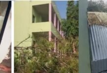 जामखेड तालुक्यात वादळी वाऱ्यासह पावसामुळे वीज पडून गायीचा मृत्यू, घराचे नुकसान तसेच फळपिकांचे नुकसान