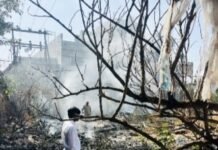 जामखेडमध्ये शॉर्टसर्किटमुळे वीज वितरण कंपनीच्या आवारातील कचऱ्याला भीषण आग, नगरसेवक हर्षद काळे यांच्या तत्परतेने मोठा अनर्थ टळला