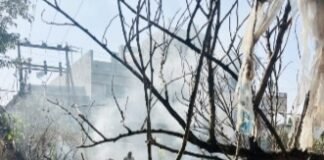 जामखेडमध्ये शॉर्टसर्किटमुळे वीज वितरण कंपनीच्या आवारातील कचऱ्याला भीषण आग, नगरसेवक हर्षद काळे यांच्या तत्परतेने मोठा अनर्थ टळला