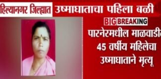 अहिल्यानगर जिल्ह्यात उष्माघाताचा पहिला बळी नागरिकांनी काळजी घेण्याचे प्रशासनाचे आवाहन