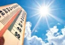 बेसुमार वृक्षतोडीमुळेच सूर्य आग ओकतोय, उष्माघाताचे रूग्ण वाढतायेत, काळजी घ्या