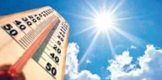 बेसुमार वृक्षतोडीमुळेच सूर्य आग ओकतोय, उष्माघाताचे रूग्ण वाढतायेत, काळजी घ्या