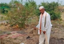 लोकवर्गणीतून स्मशानभूमीचा कायापालट, हरित स्मशानभूमी करत दिला पर्यावरणाचा संदेश सेवानिवृत्ती नंतर झाडांसाठी व पशू पक्षांना पाणवटे निर्माण करण्यासाठी अहोरात्र झटणारे अवलिया राम मुरूमकर