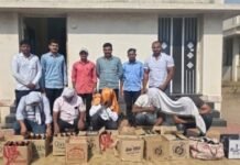 जामखेडमध्ये अवैध दारू विक्रीवर मोठी कारवाई; पाच ठिकाणी छापे, पाच गुन्हे दाखल