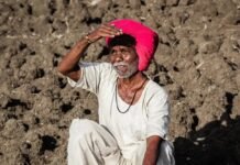 “मृगाच्या बेडकाने दगा दिला, आता भीस्त आद्राच्या गाडवावर” आर्द्रा नक्षत्रातील पावसावरच शेतकऱ्याची आशा.