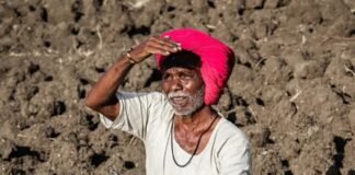 “मृगाच्या बेडकाने दगा दिला, आता भीस्त आद्राच्या गाडवावर” आर्द्रा नक्षत्रातील पावसावरच शेतकऱ्याची आशा.