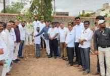 पर्यावरणाचा समतोल राखण्यासाठी वृक्षारोपण व संवर्धन करणे आवश्यक – दिलीप तिजोरे