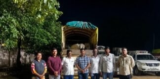 जामखेडमध्ये गोवंशीय जनावरांच्या कत्तलीचा डाव उधळला, तीन जनावरांची सुटका स्थानिक गुन्हे शाखेची कारवाई; ८० हजारांचा मुद्देमाल जप्त, एकाला ताब्यात