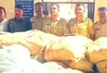 सिनेस्टाईल पाठलाग! खर्डा पोलिसांची गुटख्याविरोधात मोठी कारवाई, 51 लाख 41 हजारांचा मुद्देमाल जप्त