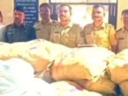 सिनेस्टाईल पाठलाग! खर्डा पोलिसांची गुटख्याविरोधात मोठी कारवाई, 51 लाख 41 हजारांचा मुद्देमाल जप्त