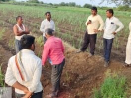 जामखेड तालुक्यात बिबट्याचा वावर, वनविभाग सतर्क, नागरिकांना विशेष खबरदारीचे आवाहन रत्नापूरच्या रानमळा परिसरात पाळीव कुत्र्याची शिकार, उसाच्या शेतात बिबट्याचे ठसे आढळले