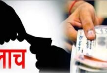 जामखेडमध्ये ग्रामपंचायत अधिकाऱ्याला ₹५ हजारांची लाच घेताना रंगेहात पकडले, लाचलुचपत प्रतिबंधक विभागाची कारवाई