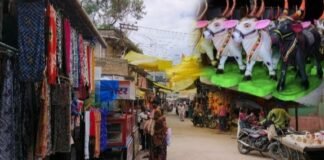 बैलपोळ्याच्या आनंदावर दुष्काळाचे सावट! पाऊस गायब अन् बाजारपेठेत शेतकऱ्यांची वर्दळही ठप्प शेतकरी हवालदिल, व्यापारी चिंतेत भूतवडा तलावातील पाणीसाठाही संपण्याच्या मार्गावर