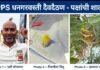 पक्षांची शाळा! ZPPS धनगरवस्ती, दैवदैठण येथे माणुसकीचा अनोखा धडा दप्तरावर, डोक्यावर फिरणारं चिमणीचं पिल्लू बनलं शाळेचा लाडका विद्यार्थी!