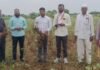 पावसाने दगा दिला, शेतकऱ्यांचा खरीप करपला! जमादारवाडीत पंचनाम्यांना सुरुवात भाजपा शहरमंडलाध्यक्ष संजय काशिद यांच्या पाठपुराव्याला यश, शेतकऱ्यांना तातडीने नुकसानभरपाई देण्याची मागणी