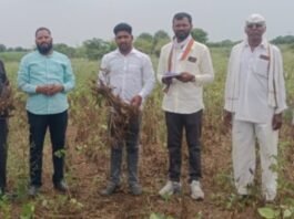 पावसाने दगा दिला, शेतकऱ्यांचा खरीप करपला! जमादारवाडीत पंचनाम्यांना सुरुवात भाजपा शहरमंडलाध्यक्ष संजय काशिद यांच्या पाठपुराव्याला यश, शेतकऱ्यांना तातडीने नुकसानभरपाई देण्याची मागणी