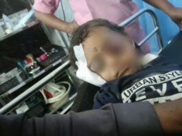 जामखेडमध्ये भटक्या कुत्र्यांचा कहर! पिसाळलेल्या कुत्र्याच्या हल्ल्यात दीड वर्षाच्या चिमुकलीचा डोळा निकामी; तिघे गंभीर जखमी बोराटे वस्ती हादरली, चिमुकलीवर पुण्यात शस्त्रक्रिया, उपचारासाठी १० लाखांचा खर्च