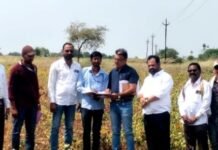 साकतमध्ये तहसीलदार थेट बांधावर, पिकांची पाहणी करत सरसकट पंचनाम्यांना सुरुवात! शेतकऱ्यांना सरसकट अनुदान द्या – डॉ. भगवानराव मुरूमकर