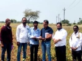 साकतमध्ये तहसीलदार थेट बांधावर, पिकांची पाहणी करत सरसकट पंचनाम्यांना सुरुवात!  शेतकऱ्यांना सरसकट अनुदान द्या – डॉ. भगवानराव मुरूमकर