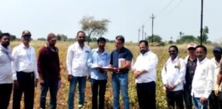 साकतमध्ये तहसीलदार थेट बांधावर, पिकांची पाहणी करत सरसकट पंचनाम्यांना सुरुवात! शेतकऱ्यांना सरसकट अनुदान द्या – डॉ. भगवानराव मुरूमकर