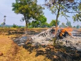 शॉर्ट सर्किटचा कहर! पांढरेवाडीत चार एकर सोयाबीन जळून खाक, शेतकऱ्याचे लाखाचे नुकसान!  मळणीपूर्वीच घास हिरावला, पंचनामा न करताच कर्मचारी परतल्याचा आरोप, शेतकऱ्यांत संताप!