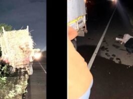 रिफ्लेक्टर नसलेल्या ट्रॅक्टर ट्रॉल्या ठरतायेत धोकादायक  खर्डा–जामखेड रोडवर एकाच ठिकाणी दोन अपघात, तिघे गंभीर जखमी